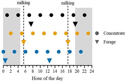 Shifting feed delivery time: effects on feeding behavior, milk production, and blood biomarkers in late-lactating dairy cows